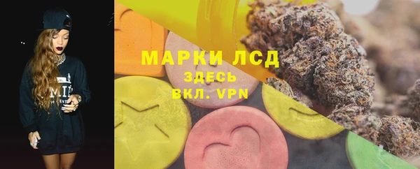 шишки Алексин