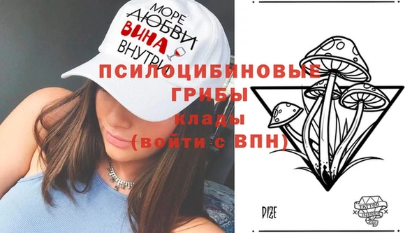 дживик Армянск