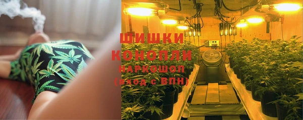 шишки Алексин
