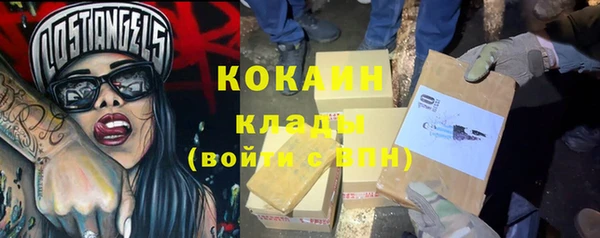 шишки Алексин