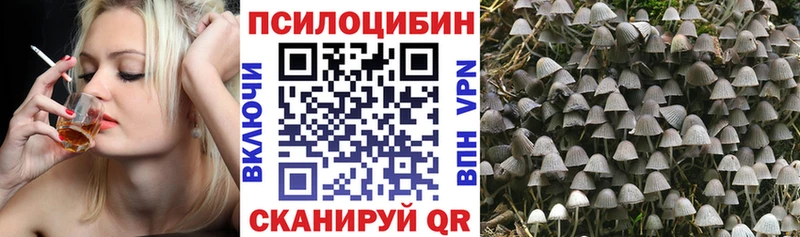 Псилоцибиновые грибы MAGIC MUSHROOMS  Фокино 